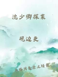 沈少卿探案